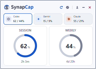 라이트 테마로 표시된 SynapCap 펼침 위젯